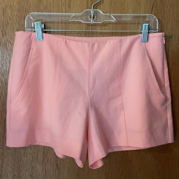 🔥CLEARANCE🔥 Theory "AIFRIC" Dress Shorts - Picture 6 of 8